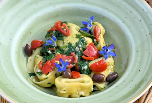 Tortelloni di ricotta con borragine e olive taggiasche